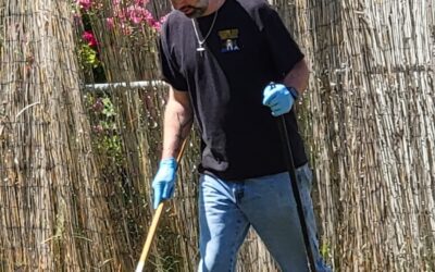 Proper Dog Waste Cleanup